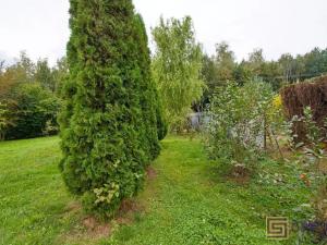 Prodej zahrady, Ostrava, Paškova, 1001 m2