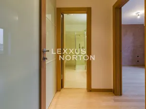 Pronájem bytu 2+kk, Praha - Podolí, Jeremenkova, 60 m2
