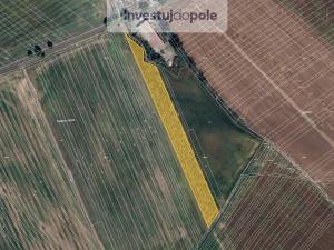 Prodej pole, Šardice, 11718 m2