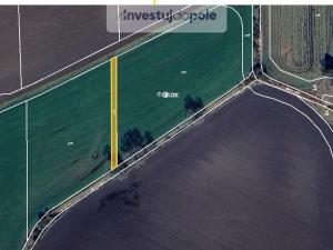 Prodej pole, Choťovice, 6966 m2