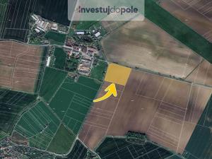Prodej pole, Podhradí - Šlikova Ves, 7256 m2