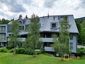 Prodej bytu 1+kk, Harrachov, 39 m2