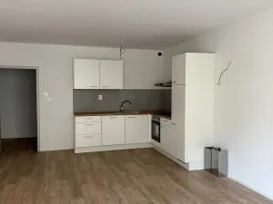 Pronájem bytu 2+kk, České Budějovice, Štítného, 57 m2