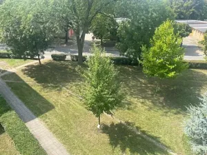 Pronájem bytu 2+1, Břeclav, 59 m2