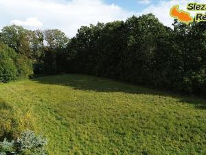 Prodej pozemku pro bydlení, Fryčovice, 7771 m2