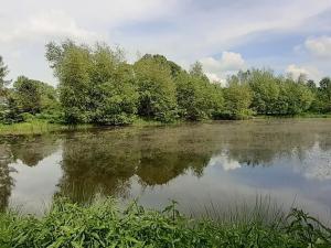 Pronájem bytu 1+kk, Neveklov, náměstí Jana Heřmana, 40 m2