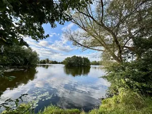 Prodej chaty, Ostrá, 45 m2