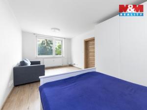 Prodej bytu 1+1, Brno - Bystrc, Ečerova, 41 m2