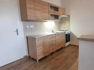 Prodej bytu 1+kk, Orlová, F. S. Tůmy, 33 m2