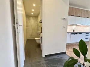 Pronájem bytu 2+kk, Praha - Žižkov, U kněžské louky, 80 m2