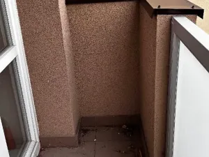 Prodej bytu 2+1, Ostrava, Čkalovova, 68 m2