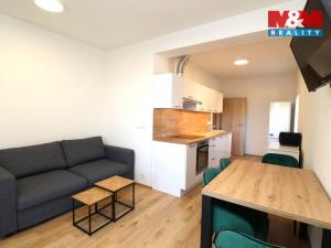 Pronájem bytu 2+kk, Nová Role, Svobodova, 39 m2