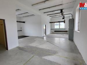 Pronájem skladu, Šternberk, Dvorská, 220 m2