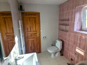 Prodej rodinného domu, Ohníč, 300 m2