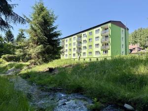 Prodej bytu 1+1, Kraslice, Wolkerova, 37 m2