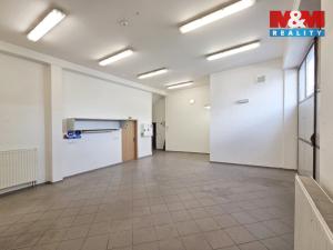 Pronájem skladu, Karlovy Vary - Drahovice, Stará Kysibelská, 223 m2