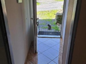 Pronájem bytu 1+kk, Jámy, 25 m2