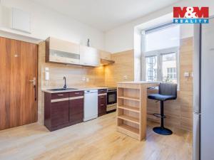 Pronájem bytu 1+1, Bělá pod Bezdězem, Paninodvorská, 40 m2