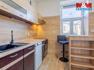 Pronájem bytu 1+1, Bělá pod Bezdězem, Paninodvorská, 40 m2