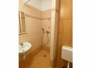 Pronájem bytu 1+kk, Brno, Halasovo náměstí, 24 m2