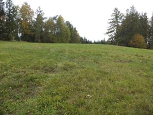 Prodej pole, Vlastiboř, 23043 m2