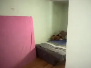 Prodej rodinného domu, Ostrožská Nová Ves, Krátká, 70 m2