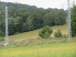Dražba lesa, Hrabišín, 23811 m2