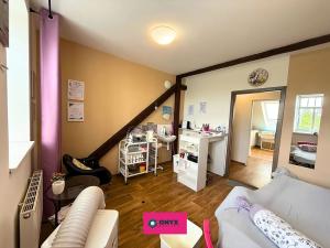 Prodej rodinného domu, Velká Bíteš, Karlov, 270 m2