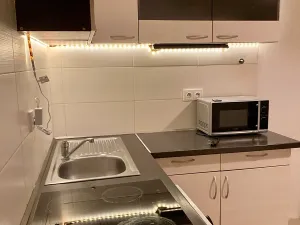 Pronájem bytu 1+kk, Praha - Vršovice, Bulharská, 20 m2