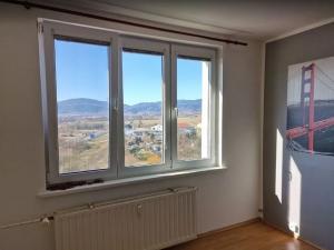 Pronájem bytu 1+kk, Ostrov, Kollárova, 20 m2