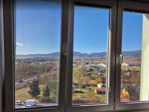 Pronájem bytu 1+kk, Ostrov, Kollárova, 20 m2