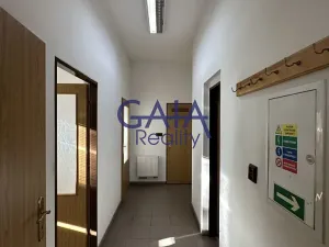 Pronájem obchodního prostoru, Louka, 597 m2