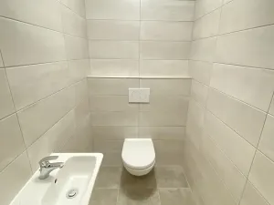 Pronájem bytu 4+kk, Plzeň, U Borských kasáren, 99 m2