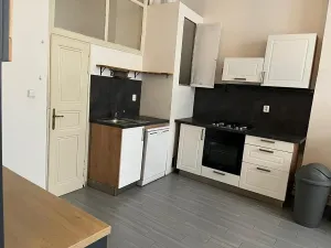 Pronájem bytu 5+1, Praha, Myslíkova, 182 m2