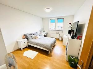 Pronájem bytu 4+kk, Brno, Pavlovská, 99 m2