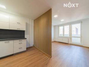 Pronájem bytu 1+kk, Ostrava, Na Obvodu, 27 m2