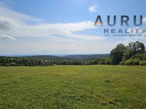 Prodej louky, Blatno, 34886 m2