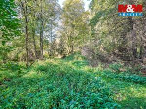 Prodej pozemku pro bydlení, Kladruby - Brod u Stříbra, 1051 m2