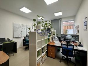 Pronájem kanceláře, Hodonín, Brněnská, 53 m2