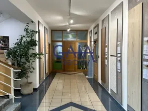 Pronájem kanceláře, Hodonín, Brněnská, 53 m2