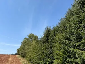 Prodej pozemku, Trutnov, 26242 m2