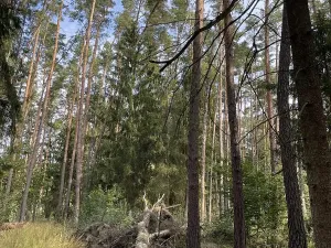 Prodej podílu pozemku, Velký Ratmírov, 3510 m2