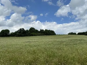 Prodej podílu pozemku, Suchdol, 9027 m2