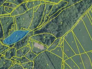 Prodej lesa, Valašská Polanka, 2906 m2