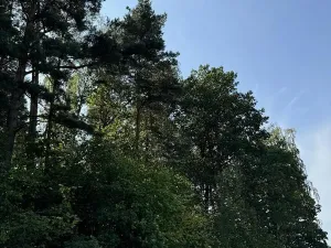 Prodej podílu pozemku, Hradiště, 3093 m2