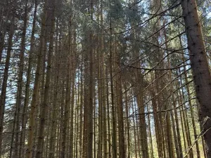 Prodej podílu pozemku, Studená, 18432 m2