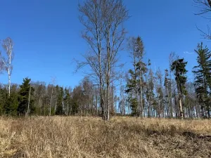 Prodej podílu pozemku, Studená, 18432 m2