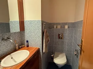 Prodej bytu 5+1, Praha - Troja, Velká skála, 207 m2