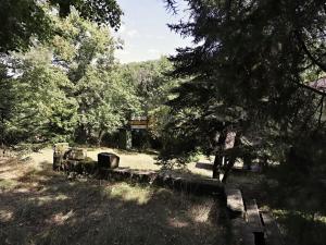 Prodej chaty, Nezabudice, 65 m2
