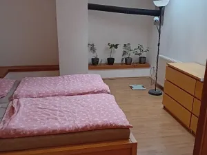 Prodej skladu, Hanušovice, 891 m2